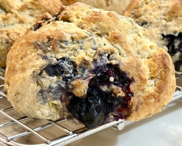 scone blueberry scone blueberry