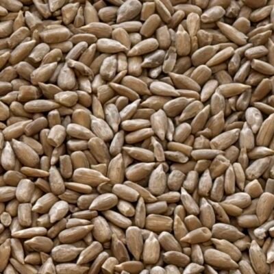organic linseed (flax seed) brown 100g