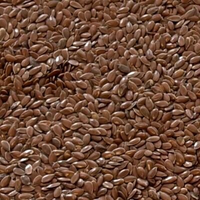 organic linseed (flax seed) brown 100g