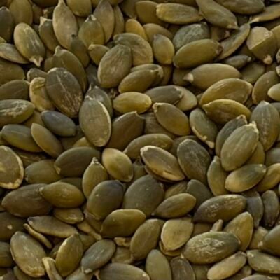organic linseed (flax seed) brown 100g