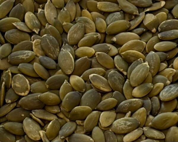 organic linseed (flax seed) brown 100g