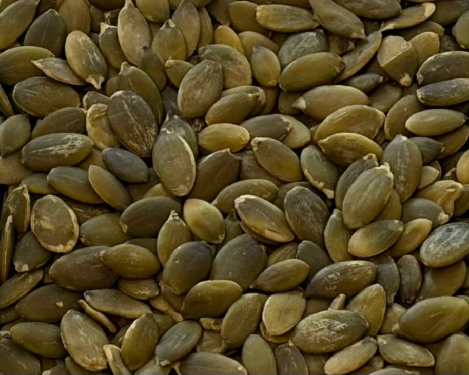 organic linseed (flax seed) brown 100g